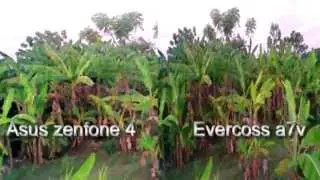 Asus zenfone 4 vs Evercoss a7v | video recording test