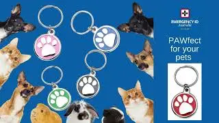 Pet ID by Emergency ID Australia, Pets Home Alone