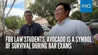 For law students, avocado is a symbol of survival during bar exams