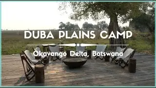 Celestielle #412 Duba Plains Camp, Okavango Delta, Botswana