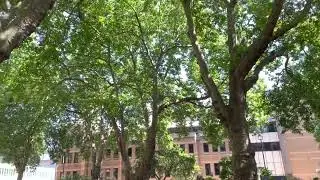 Little park at London Victoria near the coach station