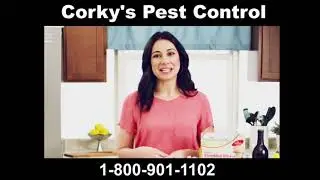 Preparing for a Termite Fumigation