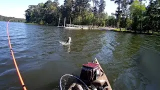 I Get OVEREXCITED Easy! Bass Fishing in Huntsville