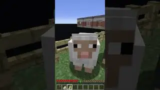 Minecraft Backrooms???? #minecraft #shorts
