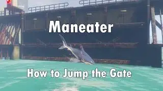 Как перепрыгнуть через ворота в Maneater