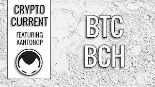 Btc vs Bch - Andreas Antonopoulos
