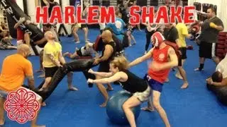 Harlem Shake - Evolution Muay Thai Edition