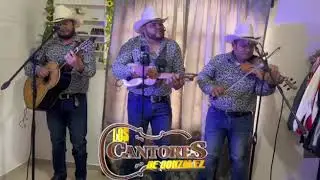 Entre hierva polvo y plomo 🔥👃🍁🪴 los cantores de González