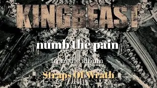 KINGBEAST -  Numb The Pain (Official Lyricvideo)