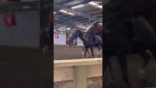 We barley trotted b4 the tp broke😭😭 #fpyシ