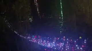Capilano suspension bridge with lights