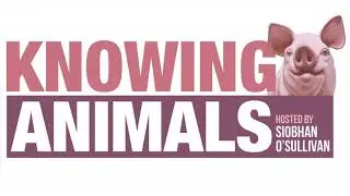 Protecting Animals 28: Phillip Wollen from Winsome Constance Kindness