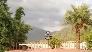 Corbett Mango Bloom Riverside Resort Jim Corbett live!