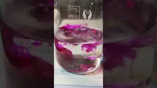 钾与水的反应#化学 #化学实验 #实验 #科普 #化学浪漫主义 #drink #化学 #化学实验 #化学 #化学实验 #science #笼状岩元素聚合物 #experiment #流量