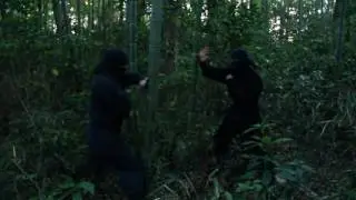 Atemi no tanren in bamboo forest