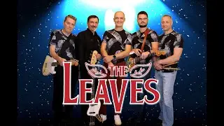 Jag Kommer Hem (The Leaves)