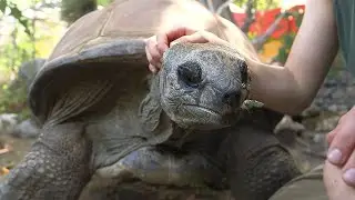 Schurli ist verstorben I Tiergarten Sch&ouml;nbrunn
