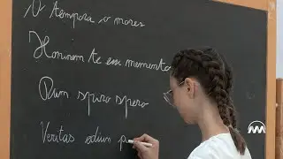 GONFALONE 2023 - ANGOLO CARATTERISTICO DELLA CONTRADA COLLECARINO