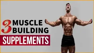 Supplements And Multivitamins For Muscle Growth | For Begginers