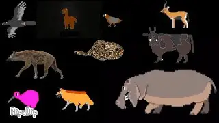 Rain African Animals - Animal Series - Hyena, Snake, Hippo, - The kids picture show video