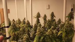 Week 8, in the home stretch 😉