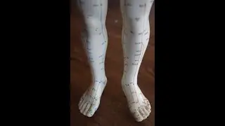 Can a single acupuncture point open the whole meridian?