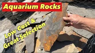 Aquarium Rocks for the 300 Gallon Tank [I Found Great Selection and Low Prices!]