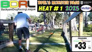 Backyard Dog Racing League: The Ultimate Dash of Speed! #shorts
