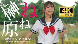 榊原ねね ／ アクアワールド水郷パークセンター「海津アクアマルシェ」2025年10月19日