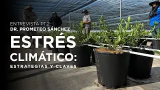 EL MEJOR SUSTRATO para cultivar en climas extremos | Dr. Prometeo Sánchez PT.2