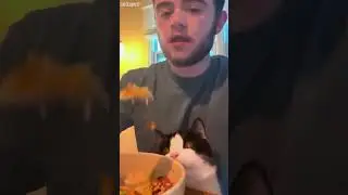 Cat Funny Videos 🐈&zwj;⬛ kitten meowing call 😼 # Ep 1504