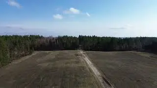 Road. Field. Forest. Nature. Sunny. Blue sky. Dji mini 3. 4k drone