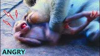 POOR BABY LOUDLY CRY TEMPER/GOT ANGRY...BABY GOLDIE SEIZURE CRY ON THE GROUND BUT GINGER IS SLEEPING