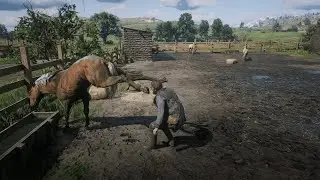 Horse kicking compilation in #rdr2 game (2K) (60FPS) | RDR 2