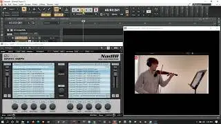 NS DESIGN WAV with GUARNERI STEREO Impulse Responses