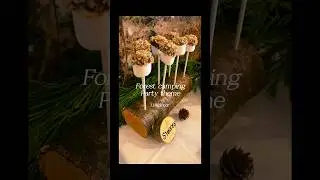 Need unique party decoration idea? Forest camping party theme.