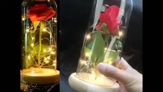 Enchanted Rose Flower Lamp