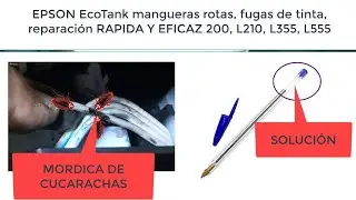 Reparar Mangueras / Sistema de Tinta Continua Impresora Epson L200, L395, L555,  Canon - HP