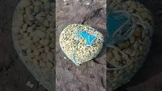രണ്ടാളും സെറ്റായി ലോഡാക്കീട്ടുണ്ട് #fishing #shorts #fisherman #seafishing #fish #casting