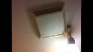 Help! I'm a bird in a bathroom vent.