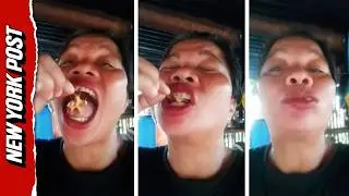 Foodie Crunches on Toxic Crab for Social Media, Dies Just Hours Later