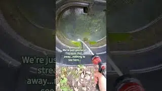 Help me clean Chico's water bin!