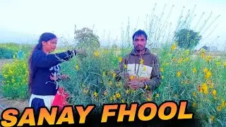 Sanay Ka Fhool Todne Aaye | Desi Tareeke Se Swadisht Sabji