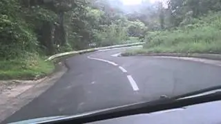 Regenwald-Tour Martinique