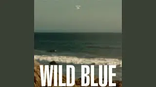 Tangled in Your Wild Blue