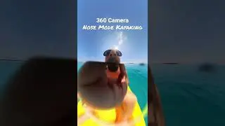 360 Camera Nose Mode Kayaking #insta360 #360camera #nosemode #kayaking