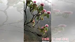 航空工业：&ldquo;新舟&rdquo;700研制蹄疾步稳