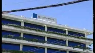 Lymano's Q4 strategy pays off | Business Content Jamaica