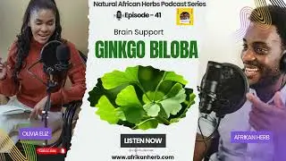 Why Ginkgo Biloba Is a Game-Changer for Memory and Focus