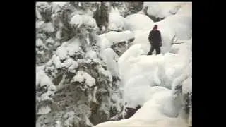 Vivid - Absinthe Films OFFICIAL SNOWBOARD Trailer